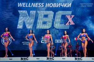 WELLNESS НОВИЧКИ